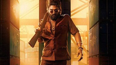 Allu Arjun’s Pushpa 2 roars past Rs. 500 crore in Hindi, sets an unbeatable benchmark with 2nd Saturday collections of Rs. 48 crores :Bollywood Box Office - Bollywood Hungama