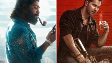 BREAKING: Pushpa 2 vs Baby John show sharing resolved amid late-night drama for now; Allu Arjun starrer’s shows to continue in PVR, Inox : Bollywood News - Bollywood Hungama