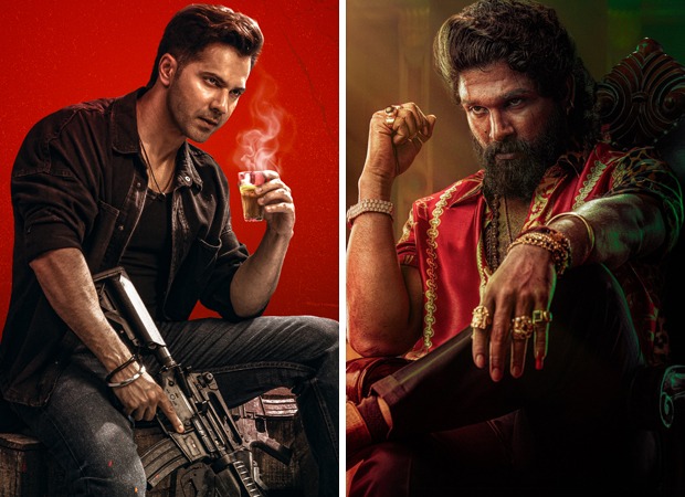 Baby John’s box office clues: From weak marketing to the Pushpa 2 tsunami, trade analysts reveal why Varun Dhawan’s big gamble misfired 2 : Bollywood News - Bollywood Hungama
