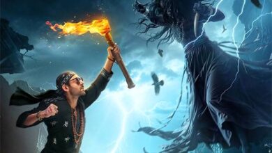 Bhool Bhulaiyaa 3 Box Office: Does well in Week 2, will cross Rs. 250 crores this weekend :Bollywood Box Office - Bollywood Hungama