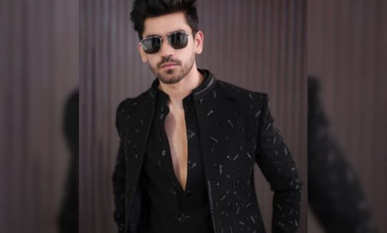 Bigg Boss 18: Avinash Mishra And The Karan Veer Mehra And Vivian Dsena Factor