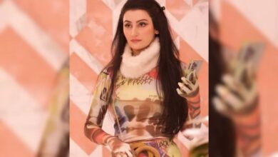 Bigg Boss 18: Fabulous Lives vs Bollywood Wives Star Shalini Passi To Enter As Wild Card Contestant: Report