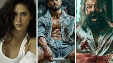 CONFIRMED! Sonam Bajwa to play lead in Tiger Shroff starrer Baaghi 4 : Bollywood News - Bollywood Hungama