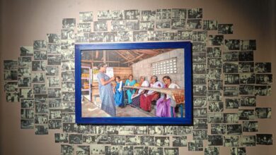 Hema committee report inspires an art exhibition