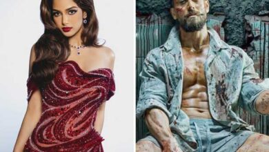 Miss Universe Harnaaz Sandhu makes Bollywood debut with Tiger Shroff starrer Baaghi 4 : Bollywood News - Bollywood Hungama