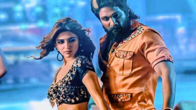 Pushpa 2 Box Office: Ranks 8 in the list of highest grossing Hindi dubbed films in just 2 days :Bollywood Box Office - Bollywood Hungama