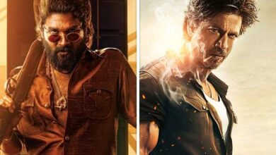 Pushpa 2 (Hindi) Box Office: Allu Arjun starrer goes past Jawan, emerges as biggest Hindi opener of all time :Bollywood Box Office - Bollywood Hungama