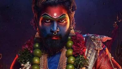 Pushpa 2 (Hindi) Box Office: Creates HISTORY, enters Rs. 200 Crore Club in just 3 days with BIG SUNDAY yet to come :Bollywood Box Office - Bollywood Hungama