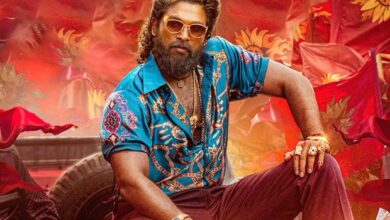 Pushpa 2 (Hindi) Box Office: Enters Rs. 600 Crore Club in just 13 days, sets a HUGE TARGET of Rs. 800 crores :Bollywood Box Office - Bollywood Hungama