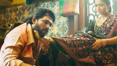 Pushpa 2 (Hindi) Box Office: Has an OUTSTANDING Wednesday, enters Rs. 400 Crore Club :Bollywood Box Office - Bollywood Hungama