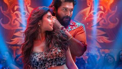 Pushpa 2 (Hindi) Box Office: Has an UNBELIEVABLE Monday, ESTABLISHES Rs. 700 Crore Club :Bollywood Box Office - Bollywood Hungama