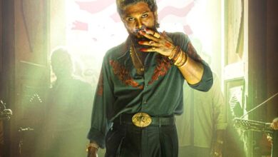 Pushpa 2 (Hindi) Box Office: Huge Friday for the Allu Arjun starrer as half century score comes in, Day 2 is higher than biggest opener of 2024 (Stree 2) :Bollywood Box Office - Bollywood Hungama