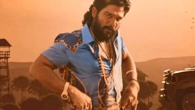 Pushpa 2 (Hindi) Box Office: Territory-wise breakdown of the Allu Arjun starrer :Bollywood Box Office - Bollywood Hungama