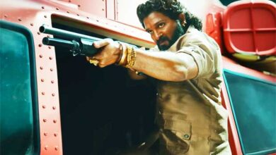 Pushpa 2 (Hindi) breaks into All Time Top 5 in Delhi – UP territory :Bollywood Box Office - Bollywood Hungama