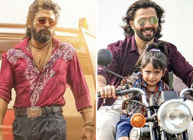 Pushpa 2: The Rule fans forced to watch Baby John at Jaipur cinema on Allu Arjun-starrer’s ticket : Bollywood News - Bollywood Hungama