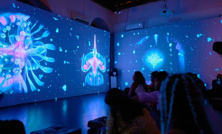 Serendipity Arts Festival 2024 | Warming up to AI in Panjim