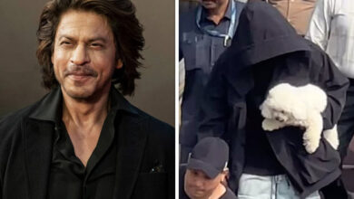 Shah Rukh Khan returns after a family vacation in Alibaug; his pet dog captures attention in viral videos : Bollywood News - Bollywood Hungama