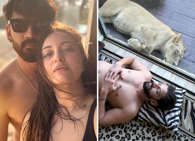 Sonakshi Sinha gets a wakeup call from a lion; Zaheer Iqbal shares video of him ordering the lion : Bollywood News - Bollywood Hungama