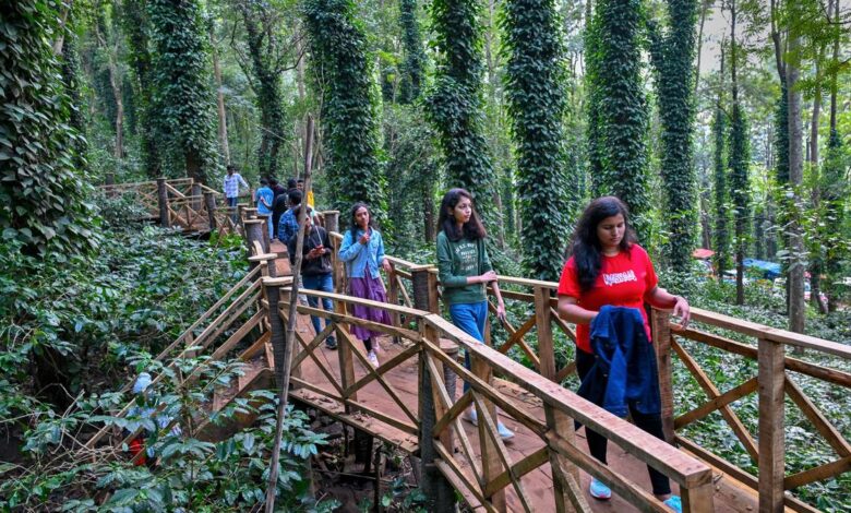 Travel: Experience Araku’s serene landscapes, tribal culture, and farm life this winter season