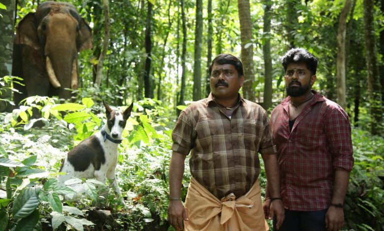‘Alangu’ director SP Sakthivel on how Mani, an indie dog, sparked the idea for his film