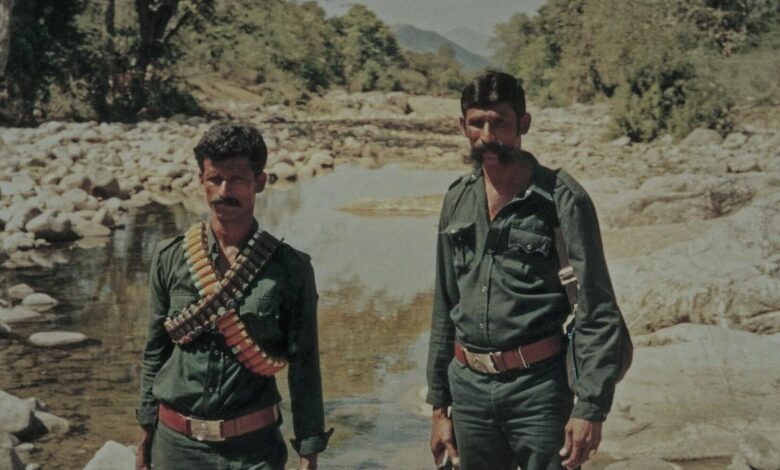 ‘The Hunt for Veerappan’ honoured at 2024 Asian Academy Creative Awards