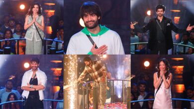Bigg Boss 18: Rajat Dalal To Vivian Dsena, Decoding The Finalists' Journeys On The Show