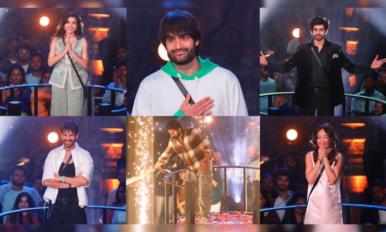 Bigg Boss 18: Rajat Dalal To Vivian Dsena, Decoding The Finalists' Journeys On The Show