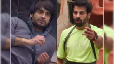 Bigg Boss 18: Vivian Dsena Loses His Cool Over Karan Veer Mehra's Comment On Daughter Layan: "She Is Just 2 Years Old"