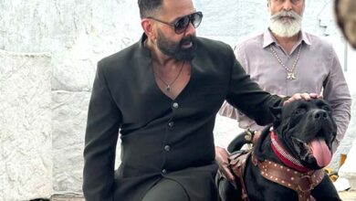 Bobby Deol opens up on his Telugu debut with Daaku Maharaaj: “I was looking for something which is massy and earthy” : Bollywood News - Bollywood Hungama