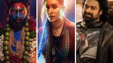 Box Office blues: India’s 2024 collections drop to Rs. 11,833 cr despite Pushpa 2 and Stree 2’s blockbuster success 2024 : Bollywood News - Bollywood Hungama