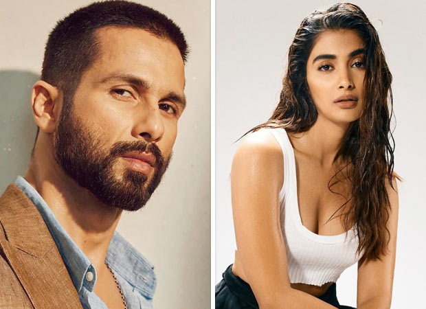 Deva: Shahid Kapoor, Pooja Hegde to ignite Dubai’s ILT20 with their new song ‘Bhasad Macha’ : Bollywood News - Bollywood Hungama