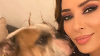 Iulia Vantur mourns loss of Salman Khan’s dog Toro, shares emotional tribute : Bollywood News - Bollywood Hungama