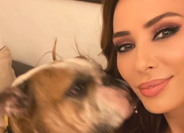 Iulia Vantur mourns loss of Salman Khan’s dog Toro, shares emotional tribute : Bollywood News - Bollywood Hungama
