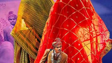 Laapataa Ladies gets shortlisted at Japan Academy Film Prize 2024 : Bollywood News - Bollywood Hungama