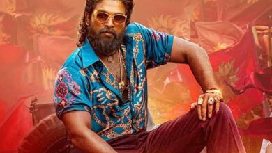 Pushpa 2 (Hindi) Box Office: Sees an expected drop on Thursday, almost touches Rs. 800 crores in 4 weeks :Bollywood Box Office - Bollywood Hungama