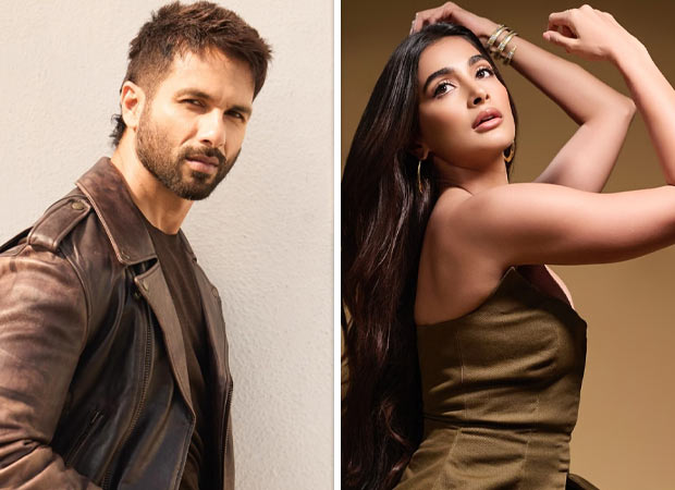 Shahid Kapoor commends Deva co-star Pooja Hegde for ‘making it on her own’; praises her dance moves : Bollywood News - Bollywood Hungama