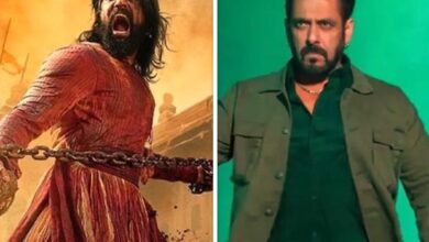 Box Office: With Vicky Kaushal’s Chhaava, Bollywood gets a BLOCKBUSTER 100 days after Kartik Aaryan’s Bhool Bhulaiyaa 3 – Will Salman Khan’s Sikandar be the next? :Bollywood Box Office - Bollywood Hungama