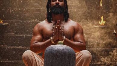 Chhaava Box Office: Crosses Rs. 25 crores mark again on Wednesday, inches towards Rs. 400 crores :Bollywood Box Office - Bollywood Hungama