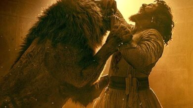 Chhaava Box Office: Vicky Kaushal starrer scores another huge day of over Rs. 20 crores :Bollywood Box Office - Bollywood Hungama