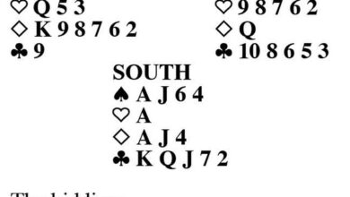 Goren Bridge: Extra chance