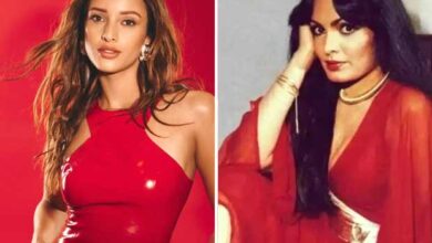 Triptii Dimri kicks off prep to play Parveen Babi, ahead of signing on the dotted line: Report : Bollywood News - Bollywood Hungama