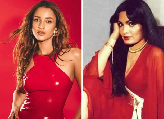 Triptii Dimri kicks off prep to play Parveen Babi, ahead of signing on the dotted line: Report : Bollywood News - Bollywood Hungama