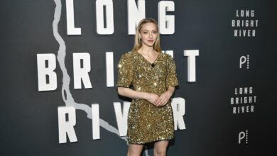 Amanda Seyfried criticises ‘Jennifer’s Body’s’ marketing strategy, calls film ‘perfect’