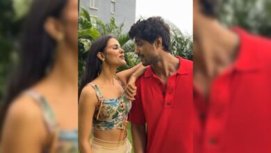 Amid Breakup Rumours With Priyanka Chahar Choudhary, Ankit Gupta Confirms Exit From Terre Ho Jaayein Hum