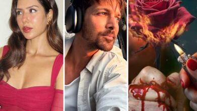 CONFIRMED! Sonam Bajwa joins Harshvardhan Rane in Milap Zaveri’s Deewaniyat : Bollywood News - Bollywood Hungama