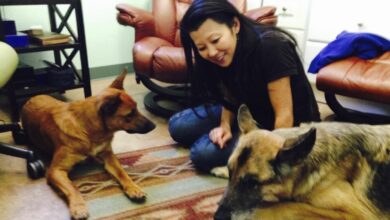 Gene Hackman and Betsy Arakawa’s dog likely died of dehydration and starvation, report says