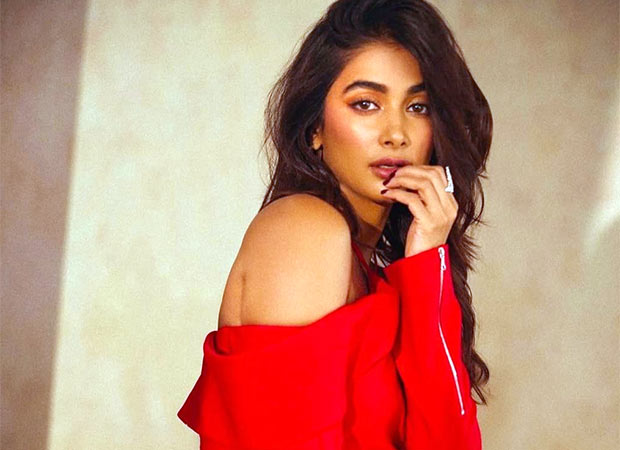Pooja Hegde speaks on hustling between South and Hindi films: “I don’t have someone producing films for me or reassuring me” : Bollywood News - Bollywood Hungama