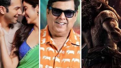 Ripple effect of Sunny Sanskari Ki Tulsi Kumari’s new date: Hai Jawani Toh Ishq Hona Hai to shift, Kantara Chapter 1 eyes solo October 2? Here’s what we know! : Bollywood News - Bollywood Hungama