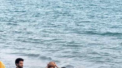 Siddhant Chaturvedi and Ananya Panday LEAKED picture sparks rumours of new project : Bollywood News - Bollywood Hungama