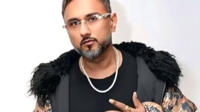 Yo Yo Honey Singh calls out YouTube trolls at Lucknow concert; says, “Hum yahan tabse hain jab YouTube bhi nahin tha” : Bollywood News - Bollywood Hungama